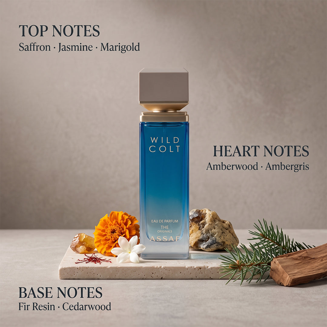 Wild Colt Assaf 100ml Master Box